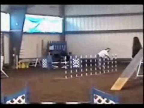 Xochi Advanced Gamblers 2007 04 14