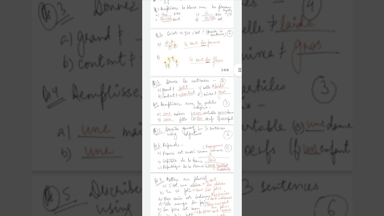 CBSE Class 6 French Answers of Test-2 (Ch3+4)