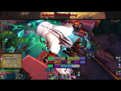 Battle of Dazar'alor Resto Druid (Champions of the light,Grong, Jadefire Masters) NEW RAID 2019