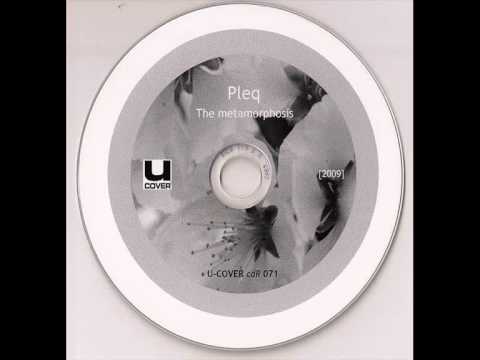 Pleq -  Do You Remember Your Dreams?