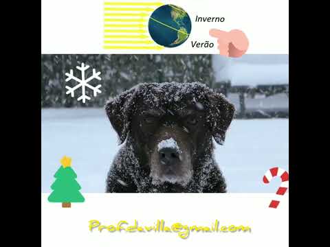 Movimentos da Terra e suas consequências