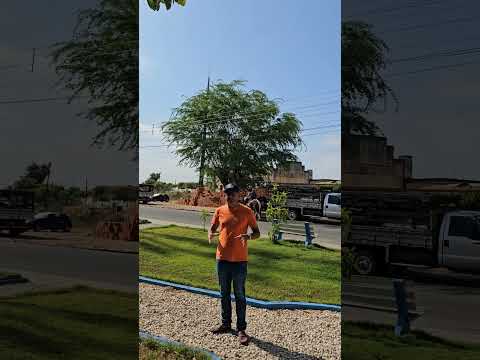 Chegando em Campo Grande Alagoas  03/01/2026 ERIEL OFICIAL REGISTRADO TUDO  🎥