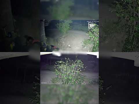 Utcubamba: Captan hurto de motocicleta