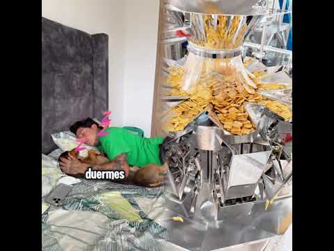 Que prefieres los Perros o los Gatos