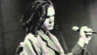 Pigface - 09 bushmaster bushmaster