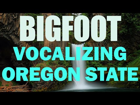 Bigfoot Experiences In Oregon State | It Sounded Like A Women Being Tortured