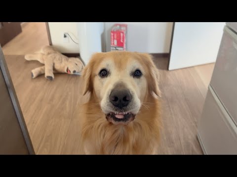 楽しいことと嫌なことは交互にやってくるもんです。