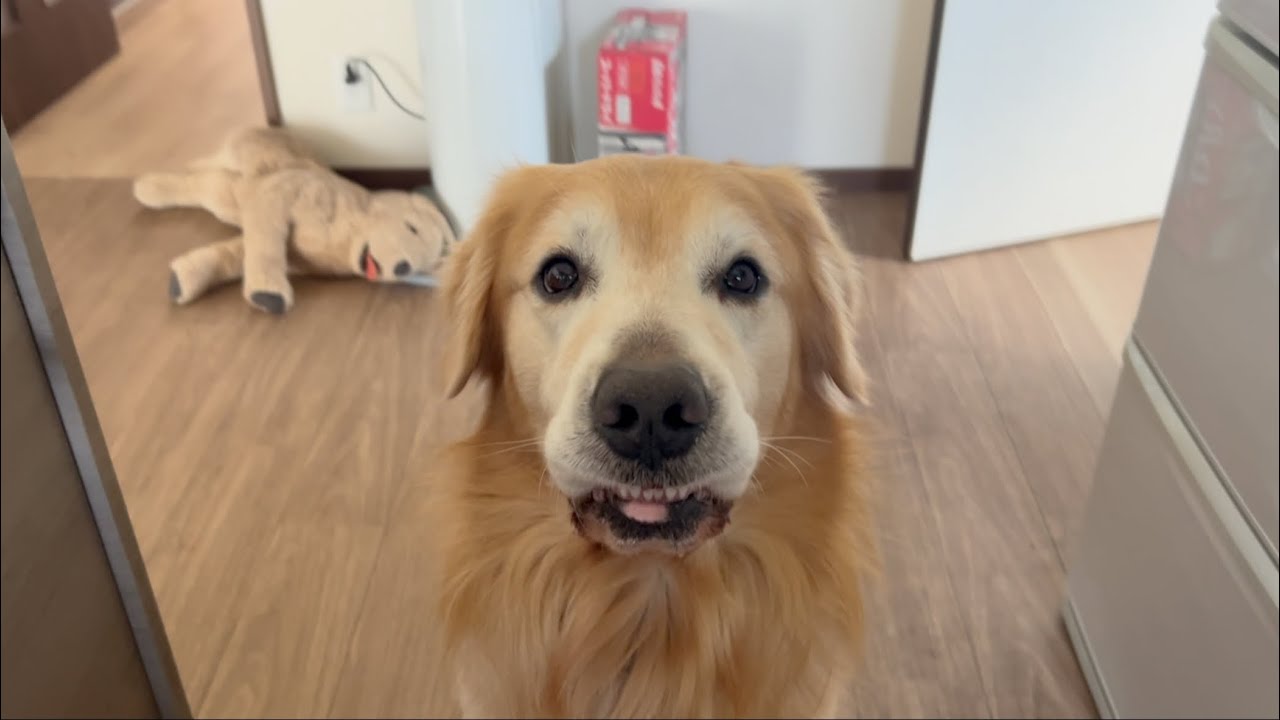 楽しいことと嫌なことは交互にやってくるもんです。