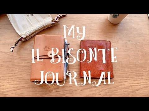 Diário My Il Bisonte Parte 1 / Introdução ao conteúdo do caderno Il Bisonte / Compartilhamento do caderno My Il Bisonte《Volume》