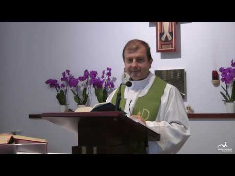 MSJ - spotkanie odpowiedzialnych MŚJ - Homilia ks Mirek Żak (kapelan MŚJ)