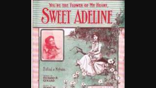 Haydn Quartet - Sweet Adeline (You&#39;re the Flower of My Heart) (1904)