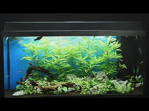 Watch Video on YouTube