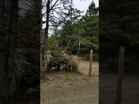 Large open spaces. Perfect for a drive by video after our noisy and uncomfortable tent camping stay.