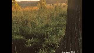Andrew Bird - Fitz and the Dizzyspells
