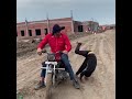 CWE THE GREAT KHALI RIDING BULLET