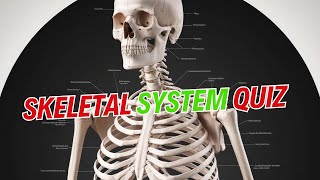 SKELETAL SYSTEM Mastery Made EASY with Practice Questions!