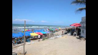 Las Palmeras, Alberto Cortez