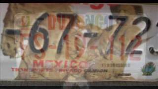 Aliados de la Sierra - noches blancas en Durango