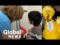 Sesame Street S Big Bird Helps Kids Prepare For The COVID 19 Vaccine Shot