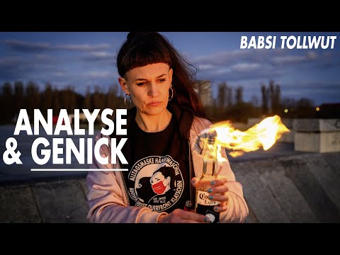 Babsi Tollwut - Analyse & Genick