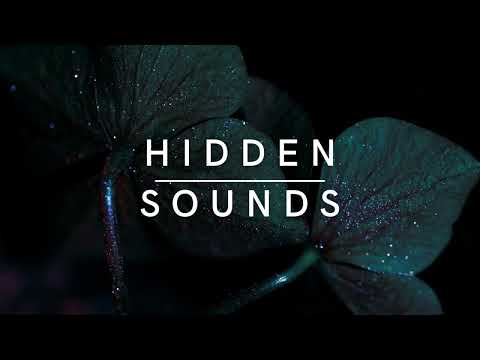 Henri Bergmann, Fat Cosmoe, Wennink - Higher Dimension (Mark Höffen Remix)