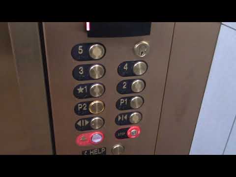 Westinghouse Traction Elevators @ Gaviidae Common in Minneapolis, MN