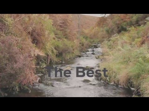 Benny Diction feat. Beit Nun - The Best (BBP Single Series #5) Official Video (BBP48-SS)
