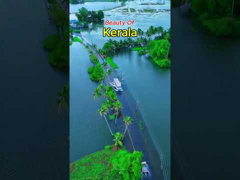 Beauty of Kerala | Kerala Tourism | Slice 3D | #youtubeshorts #ytshorts #shorts