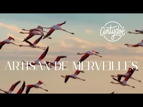 Artisan de merveilles (Lyric vidéo officielle) - antydot