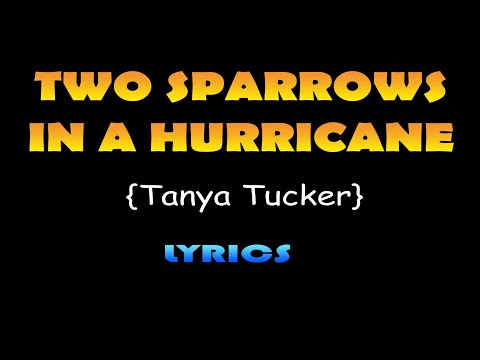 Two Saprrows In A Hurricane - Tanya Tucker