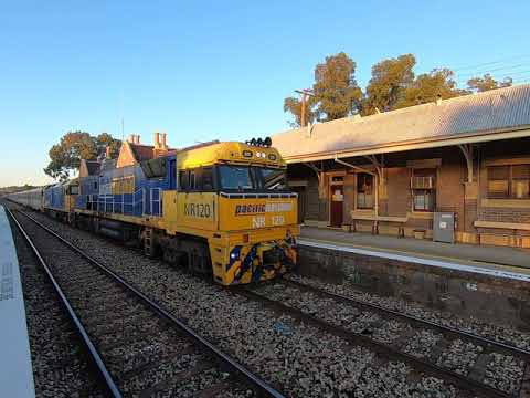 Indian Pacific NR120 & G530 at Bathurst NSW.  Wed 11th Mar 2020
