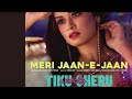 Meri Jaan-E-Jaan  | Tiku Weds Sheru | Shreya Ghoshal | Nakash Aziz | Nawazuddin