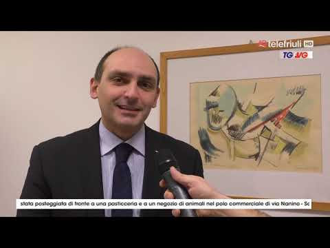 Telegiornale ore 19 del 21 Novembre 2018