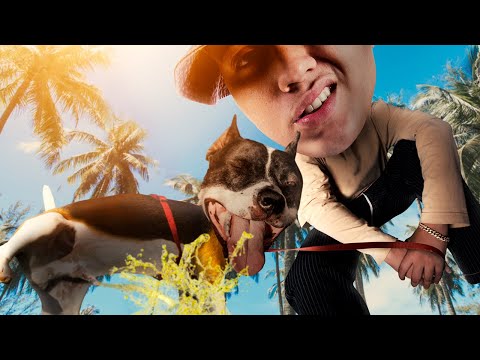 Video thumbnail for Pitbull