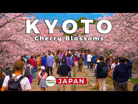 🌸 Cherry Blossoms Walk along Keage Incline | Kyoto, Japan 🇯🇵 | 4K 60fps | Captions