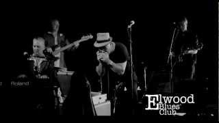 Who Will Be Next Salty Dog Elwood Blues Club Official 20130127