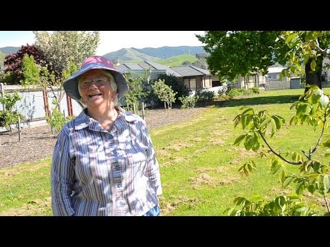 Fruit Trees & Refugees: Stoke Open Orchard