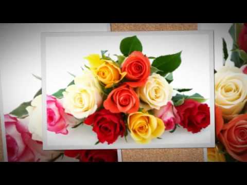 Where The Roses Never Fade