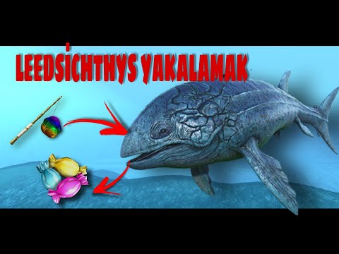 LEEDSİCHTHYS YAKALAMAK | Eery Candy BP | Ark Survival Evolved Mobile | Catching a Leedsichthys