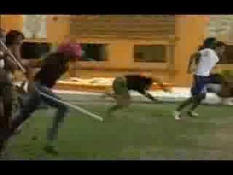 Video Show - Resumo do BBB7