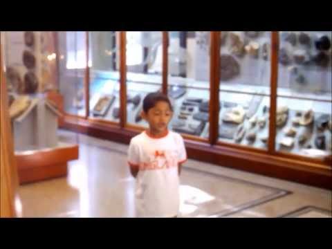 Labib Meets..Stan The Tyrannosaurus Rex At Manchester Museum.