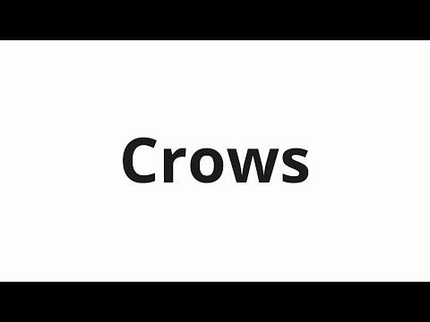 How to pronounce Crows
