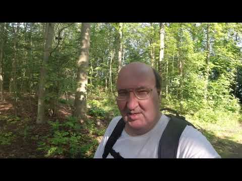 MongoTV_3413 - English Vlog_0195 - Small Walk In Forest Monday