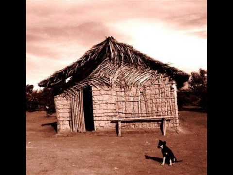 Aguapé video