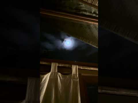 Luna en la Selva / луна