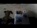 Wishbone Dog Days Of The West 1998 VHS Review