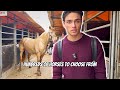 I WENT SHOPPING FOR A NEW HORSE AND FOUND ONE