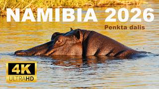 🇳🇦 NAMIBIA 2026 (5) Kwando ir Zambezi upės #namibia #zambezi  #caprivistrip #botswana #overlanding
