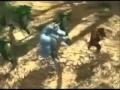 Donkey Kong Song The Banana Dosey Doe