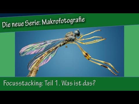 Makrofotografie: 15. Focusstacking: Teil 1 Was ist das?